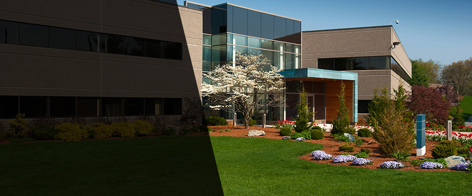 Delmar Landscapers